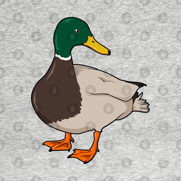 Drawing of mallard duck by Modern Medieval Design